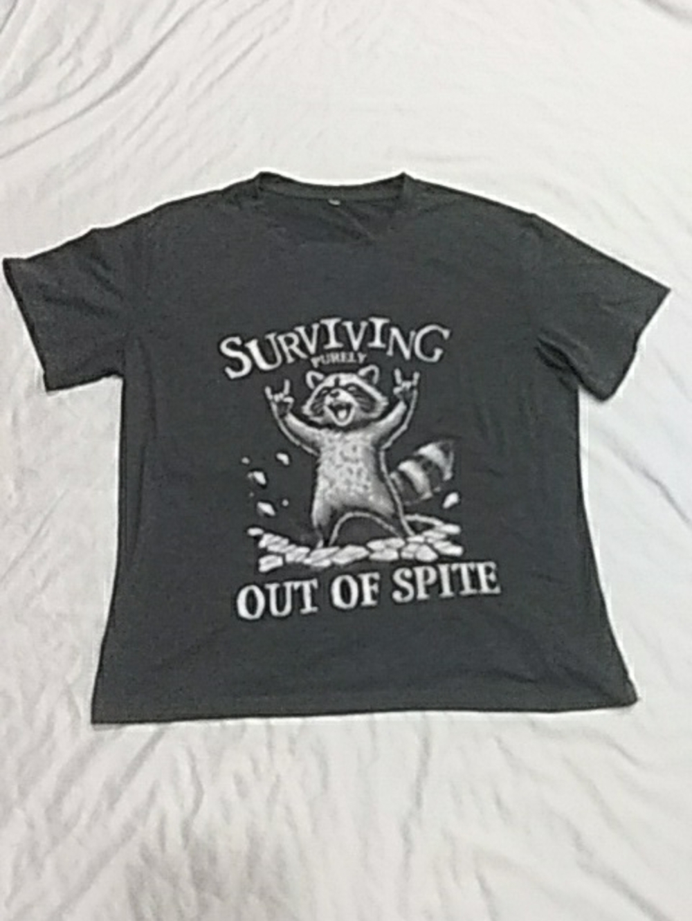 Gray Tee Shirt With Gaphic Desing.